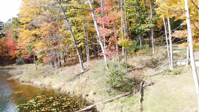 5391 Jack Morris Dr, West Branch, MI 48661 - photo 20