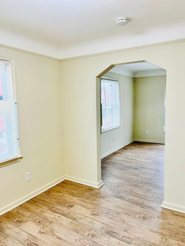 empty room with a wealth of natural light and light wood-type flooring