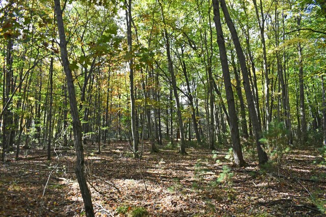 01 Rainbow Dr, East Tawas, MI 48730