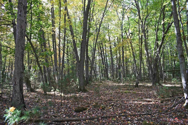 01 Rainbow Dr, East Tawas, MI 48730