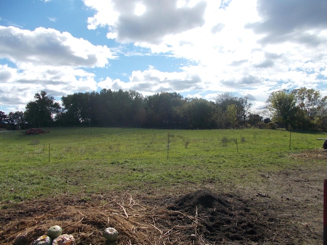 view of yard with a rural view