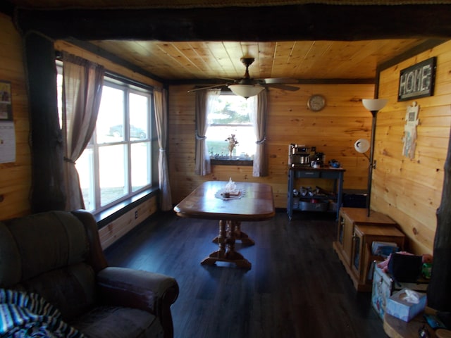 dining space featuring wood ceiling, wood walls, ceiling fan, and dark wood-type flooring