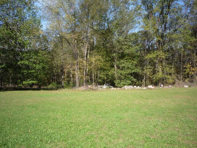 3311 8 1/2 Mile Rd, Union City, MI 49094 - photo 31