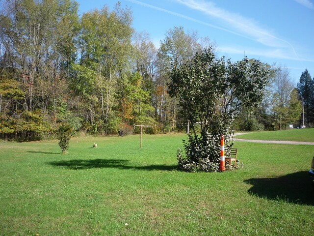 3311 8 1/2 Mile Rd, Union City, MI 49094 - photo 33