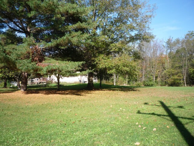 3311 8 1/2 Mile Rd, Union City, MI 49094 - photo 34