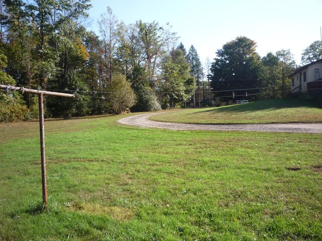 3311 8 1/2 Mile Rd, Union City, MI 49094 - photo 39
