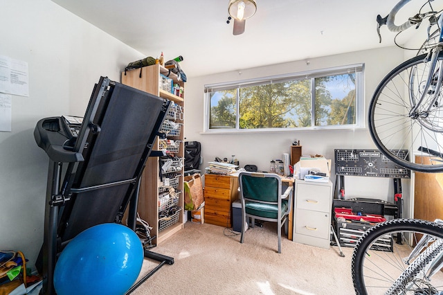 interior space featuring light carpet