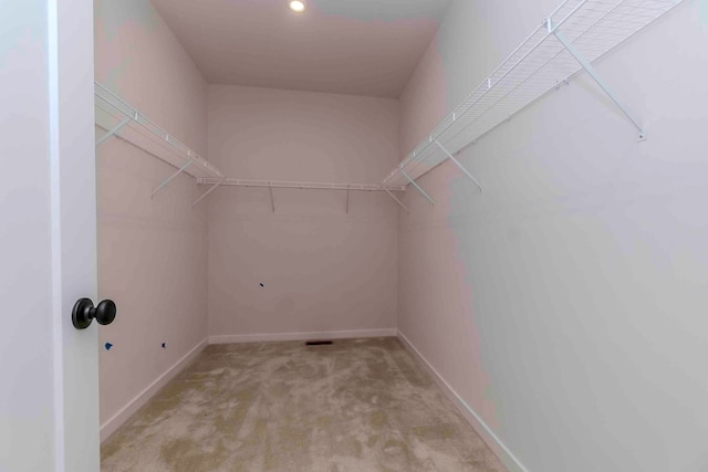 spacious closet with light carpet