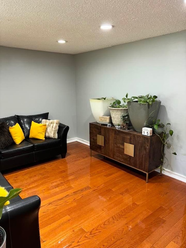 living room with a textured ceiling and hardwood / wood-style flooring