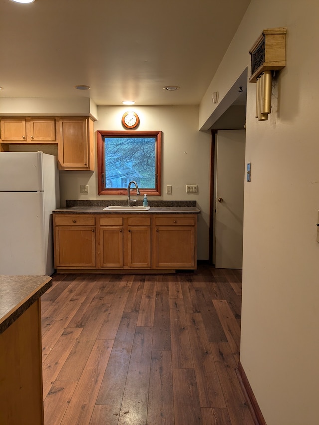 kitchen with sink, white fridge, and dark hardwood / wood-style floors