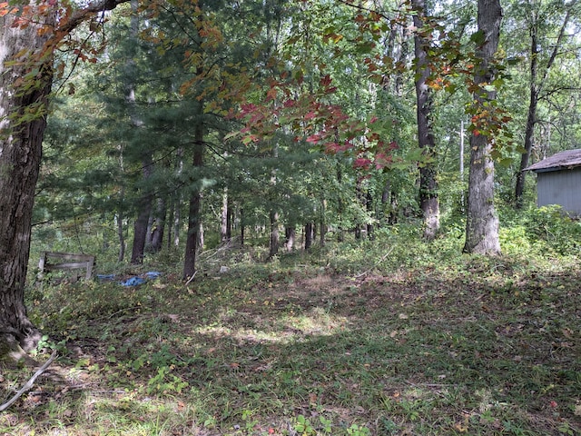 view of local wilderness