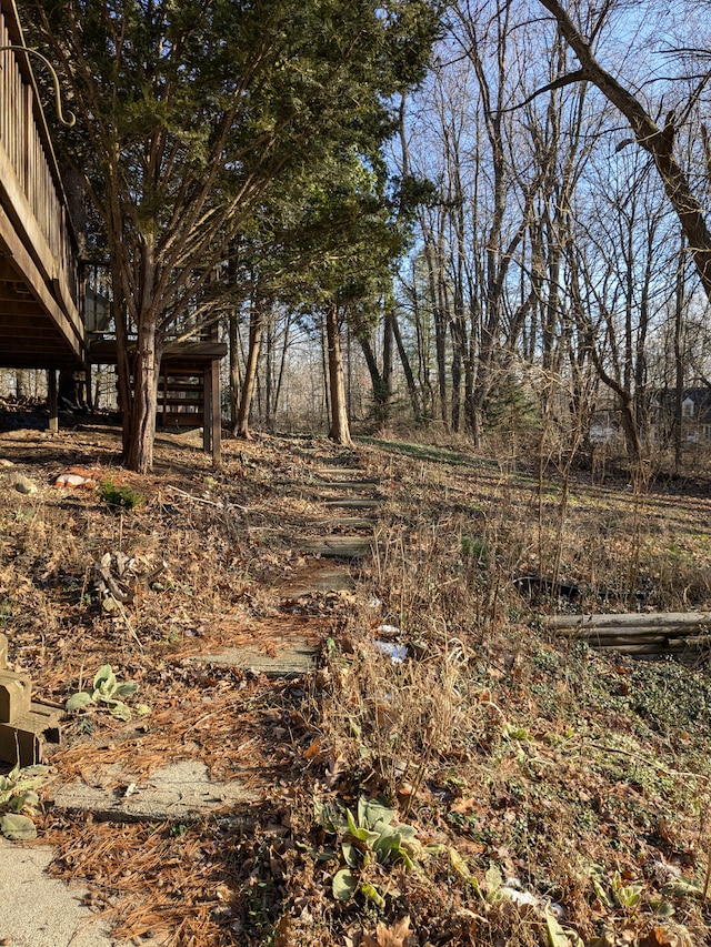 view of local wilderness