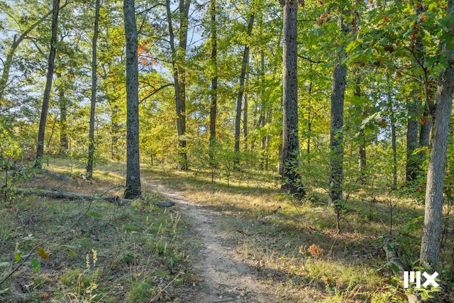 view of road