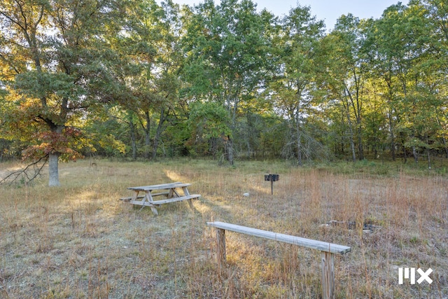 view of yard