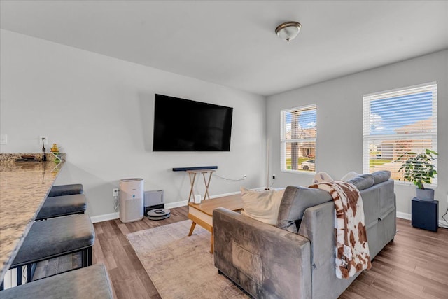 living room featuring light hardwood / wood-style floors