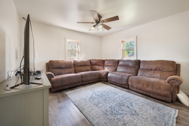 living room with ceiling fan and hardwood / wood-style floors