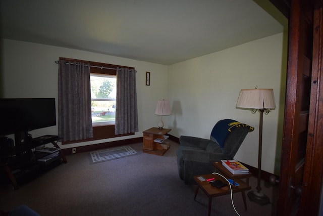 living area featuring carpet floors