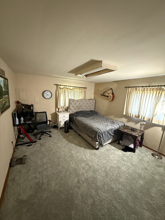 bedroom with carpet floors