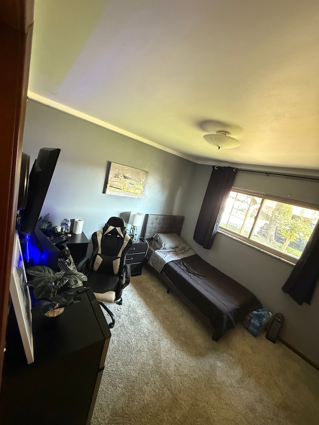 bedroom featuring carpet flooring