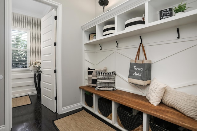 mudroom with dark hardwood / wood-style floors