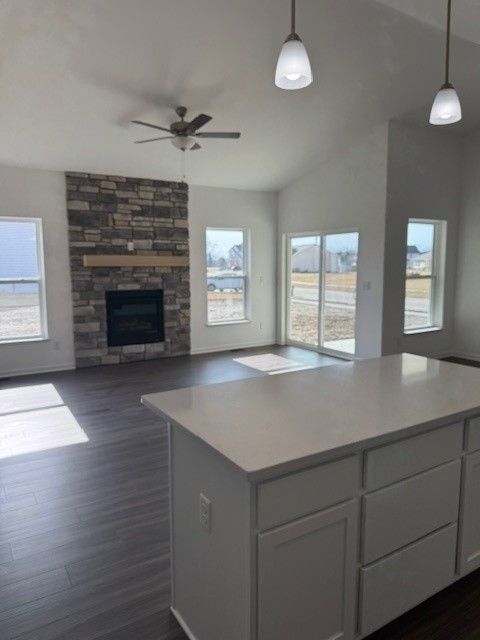 kitchen with dark wood finished floors, open floor plan, a wealth of natural light, and a stone fireplace