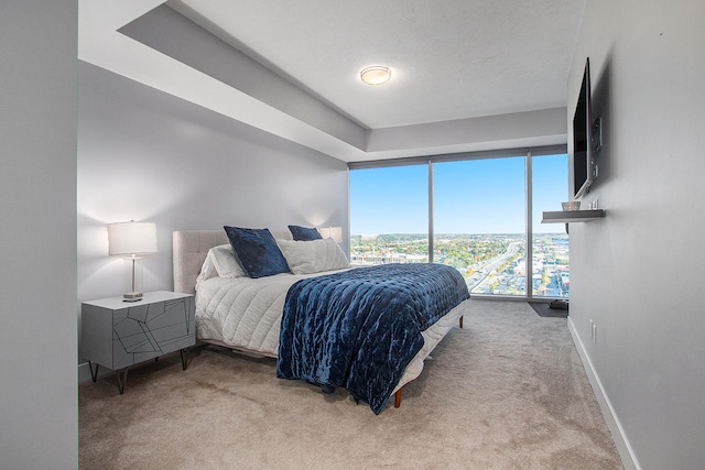 bedroom with light carpet