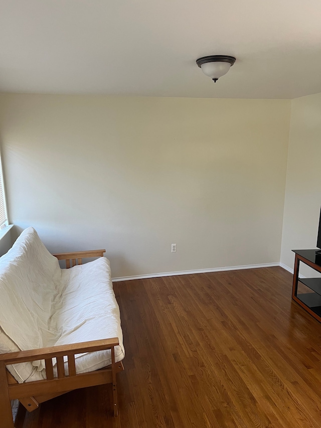 sitting room featuring dark hardwood / wood-style floors