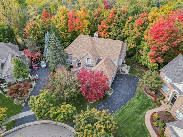 bird's eye view