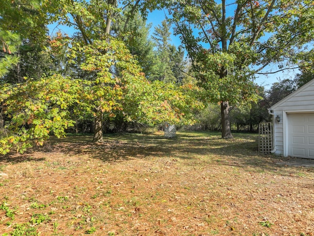 view of yard with a garage