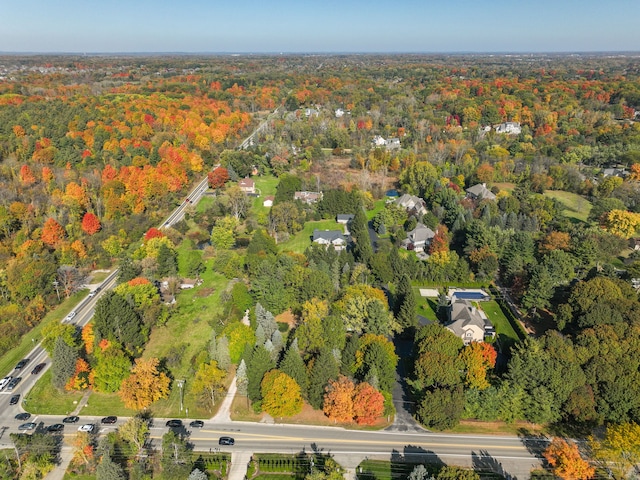 bird's eye view