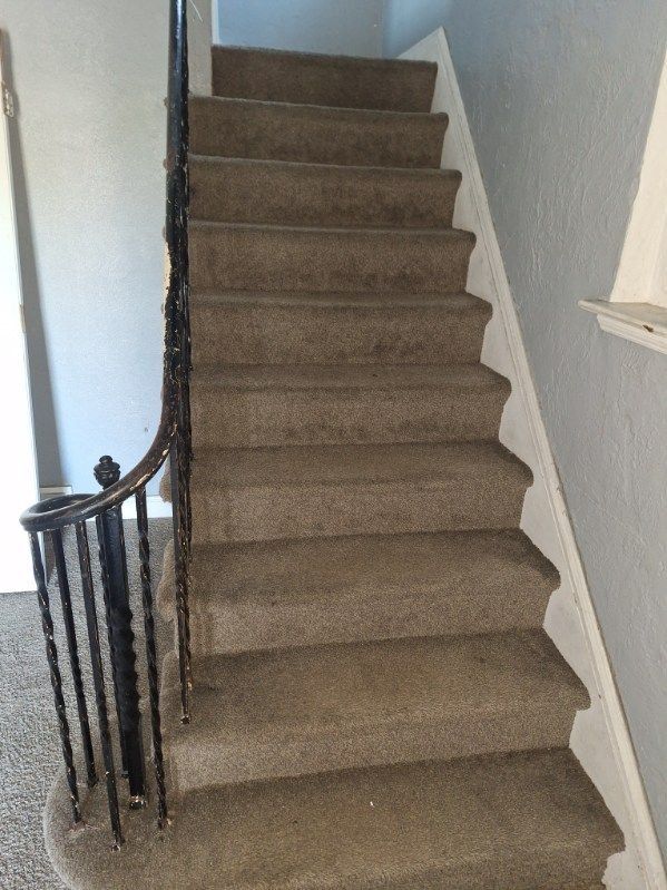 stairs featuring carpet flooring