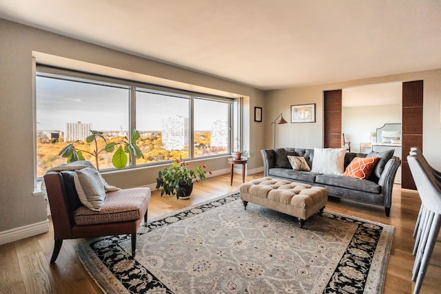 living room with hardwood / wood-style flooring