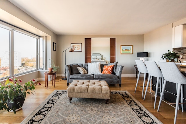 living room with light hardwood / wood-style flooring