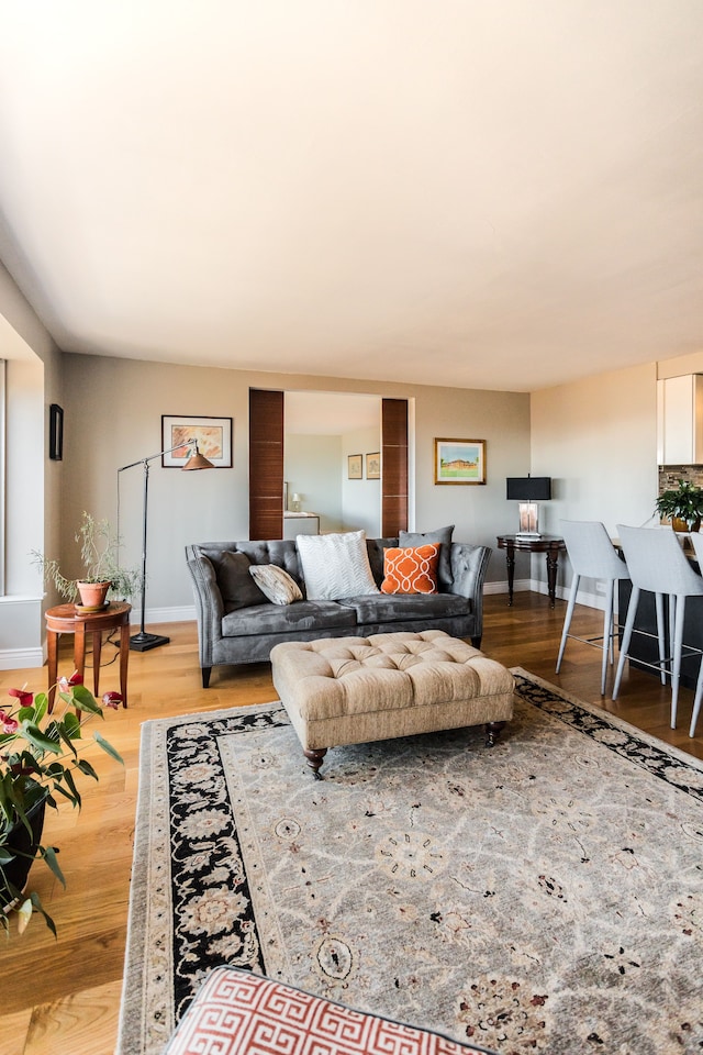 living room featuring hardwood / wood-style flooring