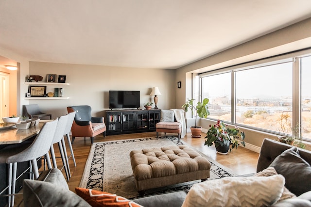 living room featuring hardwood / wood-style flooring