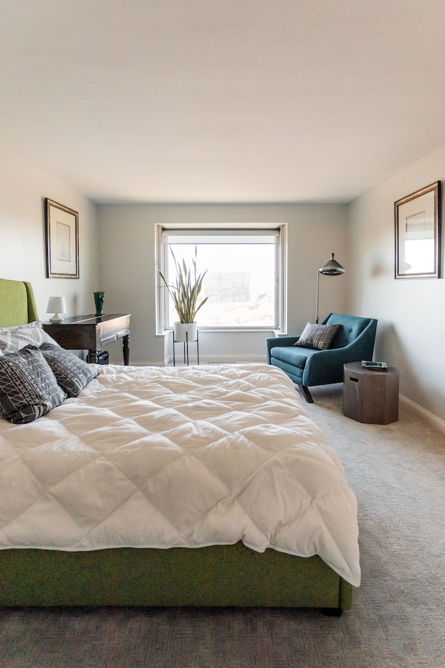 bedroom featuring carpet