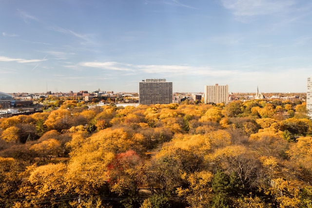 property's view of city