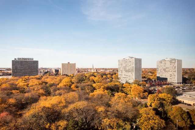 property's view of city