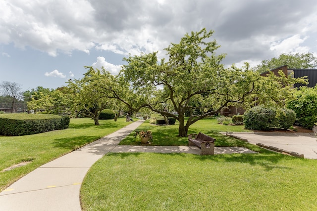 view of home's community with a yard