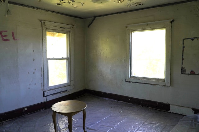 spare room with a wealth of natural light