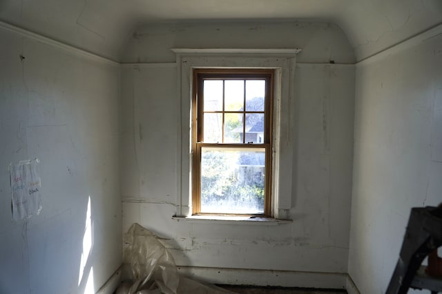 miscellaneous room featuring vaulted ceiling