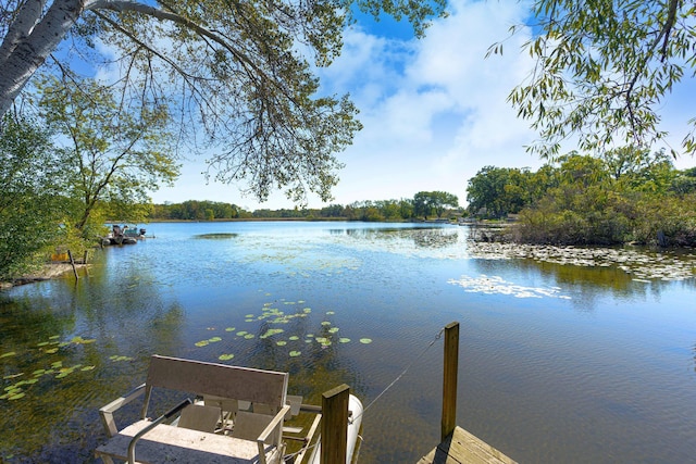 dock area featuring a water view