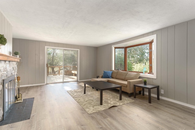 living room featuring a fireplace and light hardwood / wood-style flooring