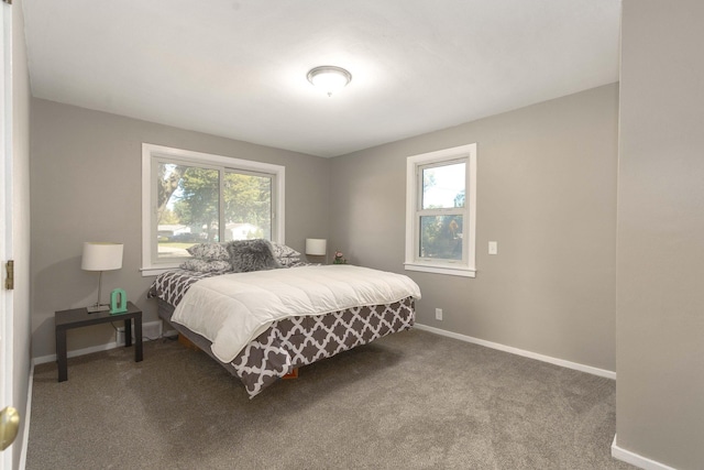 bedroom with carpet floors