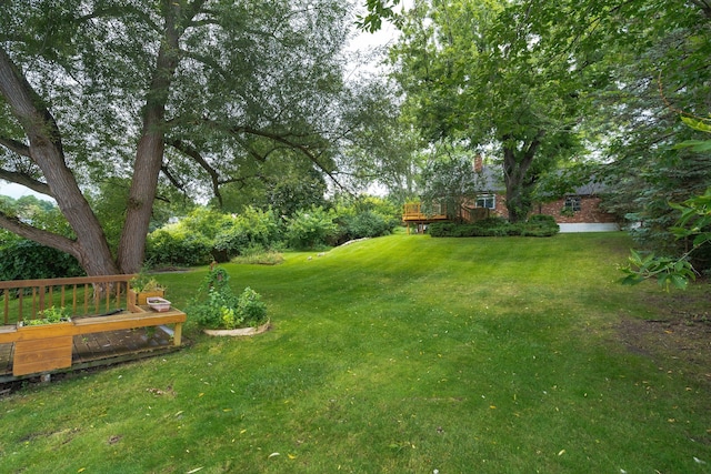 view of yard featuring a deck