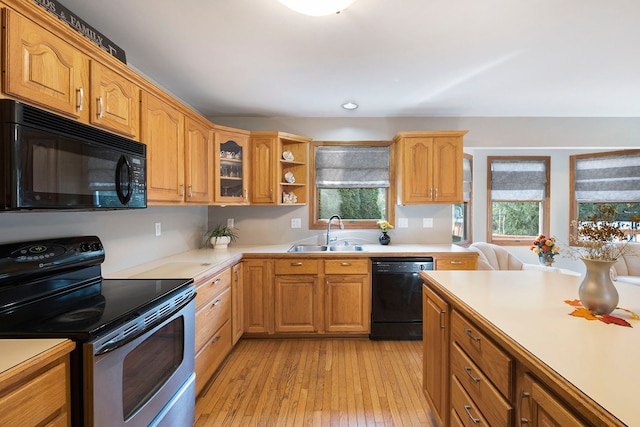 kitchen featuring sink, light hardwood / wood-style floors, a healthy amount of sunlight, and black appliances