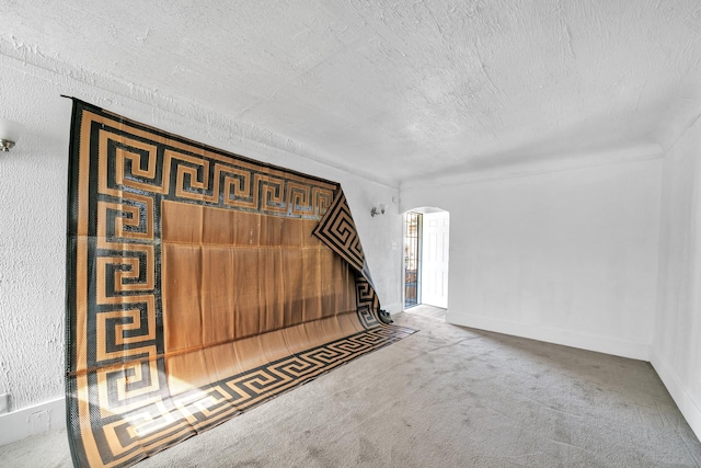 interior space with carpet flooring and a textured ceiling