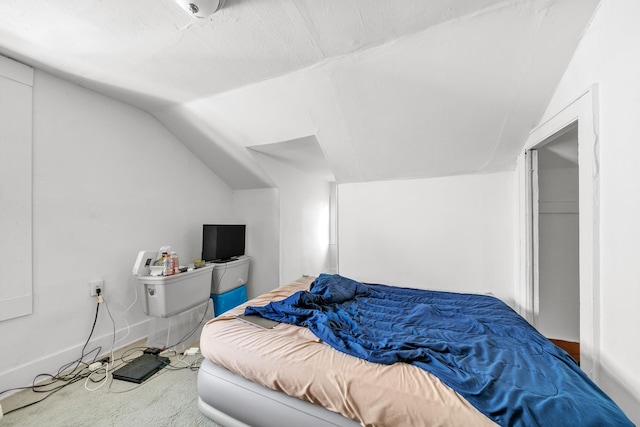 bedroom featuring carpet and vaulted ceiling