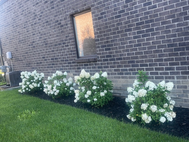 view of home's exterior with a yard