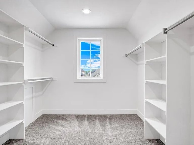 spacious closet featuring lofted ceiling and carpet flooring